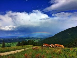 Ausflugstipp Tregler Alm