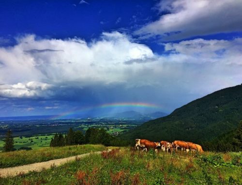 Wochenendausflug Alpen – von München aus in den Süden